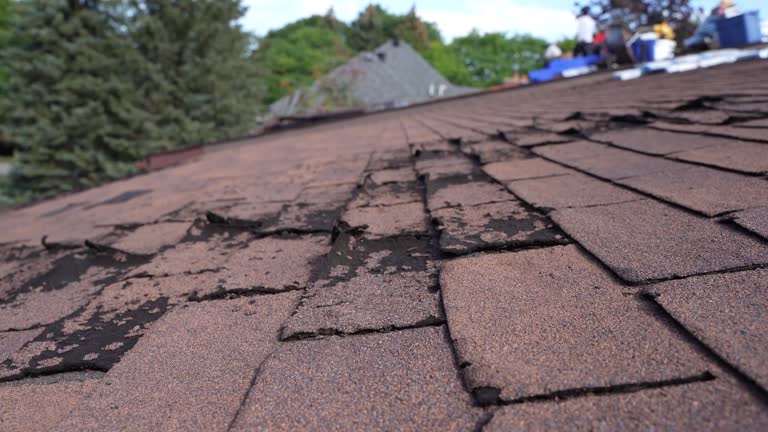 Washington Park, IL Roofing Service Company