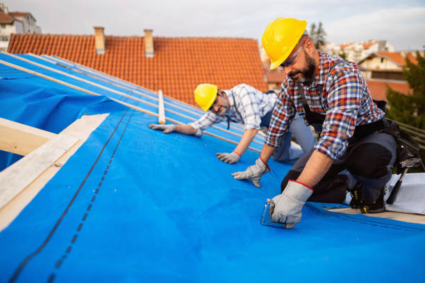 Best Green or Eco-Friendly Roofing Solutions  in Washington Park, IL
