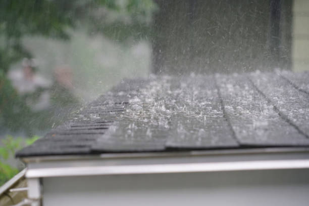 Best Skylight Installation and Repair  in Washington Park, IL