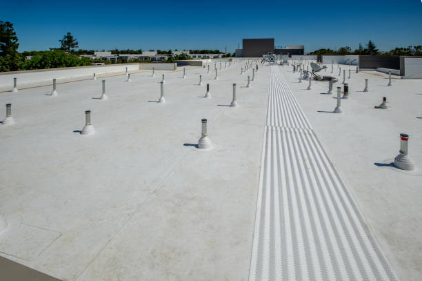 Best Solar Panel Roofing Installation  in Washington Park, IL
