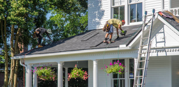 Best Roof Moss and Algae Removal  in Washington Park, IL